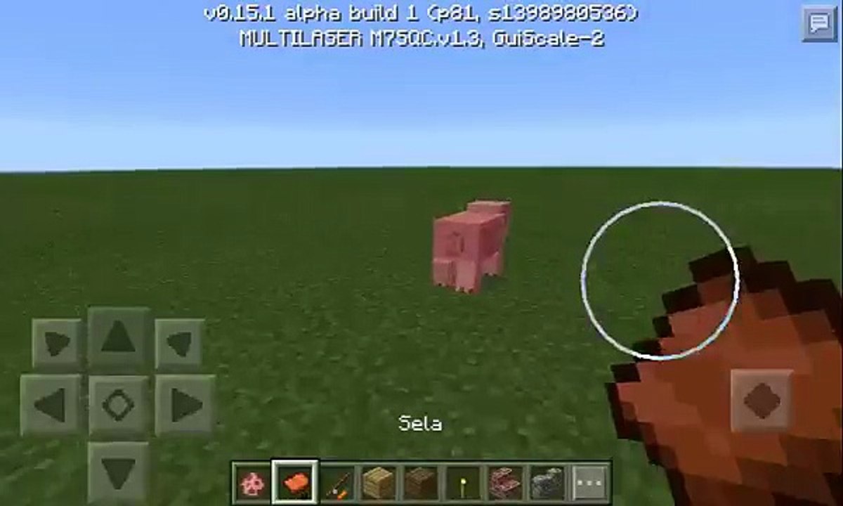 Como montar num porco no minecraft pe 0.15.0(SEM MODS)