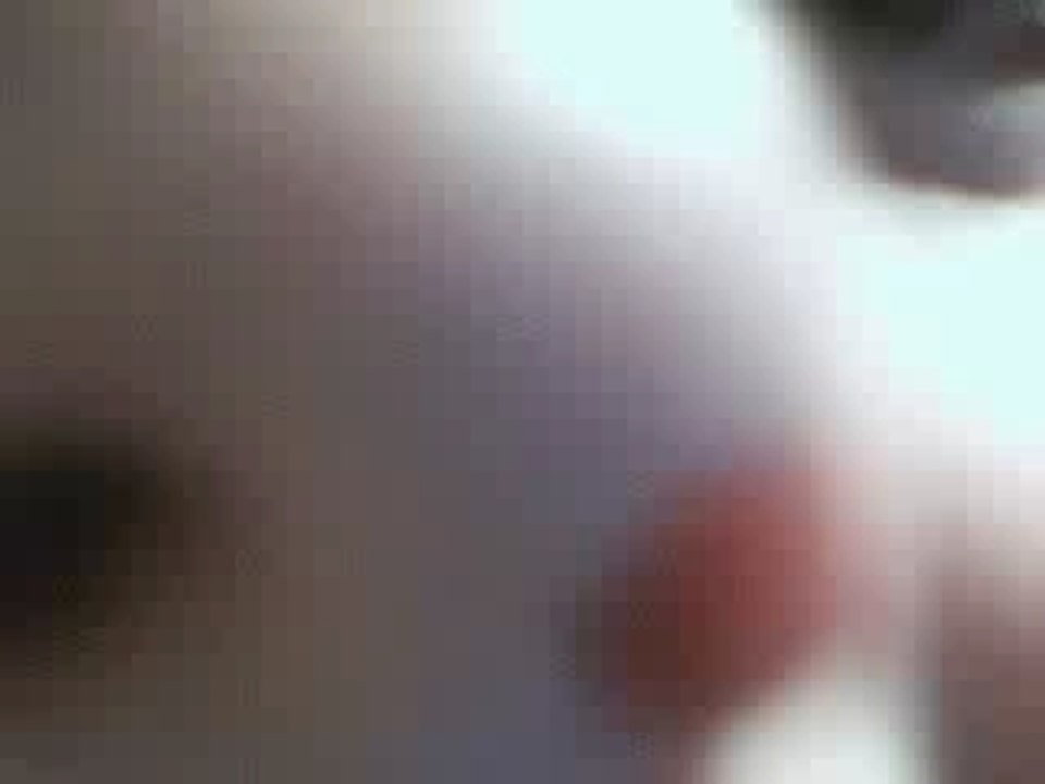 zivko