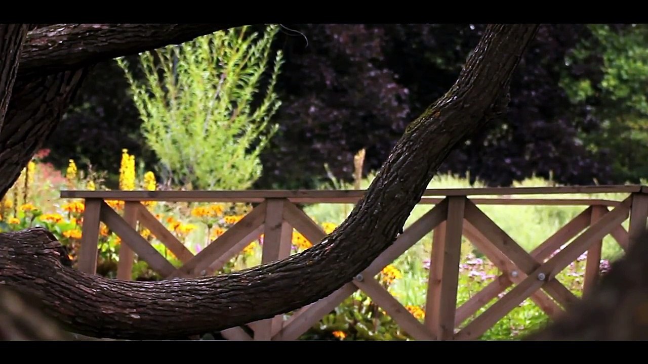 Samurain Rakkaus - Teaser