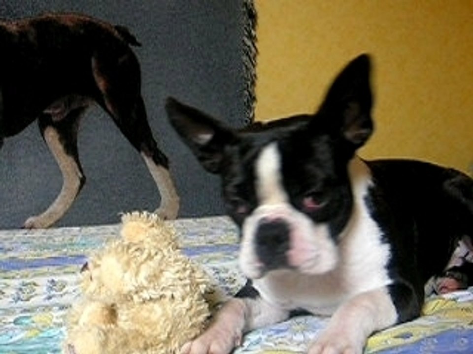 7 Juillet  - Bikkers apres son bain