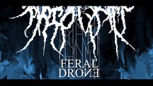 Feral Drone - Pulse