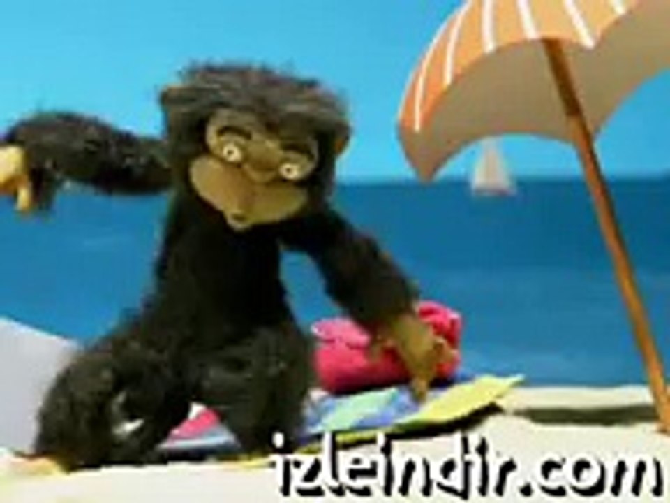 crazy monkey animation funny