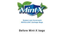 Cockroaches Overtake Restaurant when Closed – Before and After Mint X REPELLENT Garbage Bags