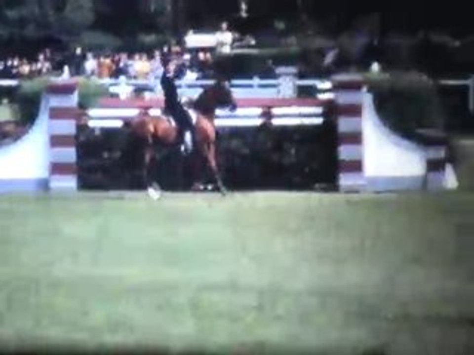 PLR - Patrick LE ROLLAND sur Cramique - 1971