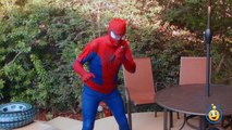 GIANT HULK EGG SURPRISE TOY OPENING w/ Spiderman vs HULK & Marvel Superheroes Toys in Fun Kids Video