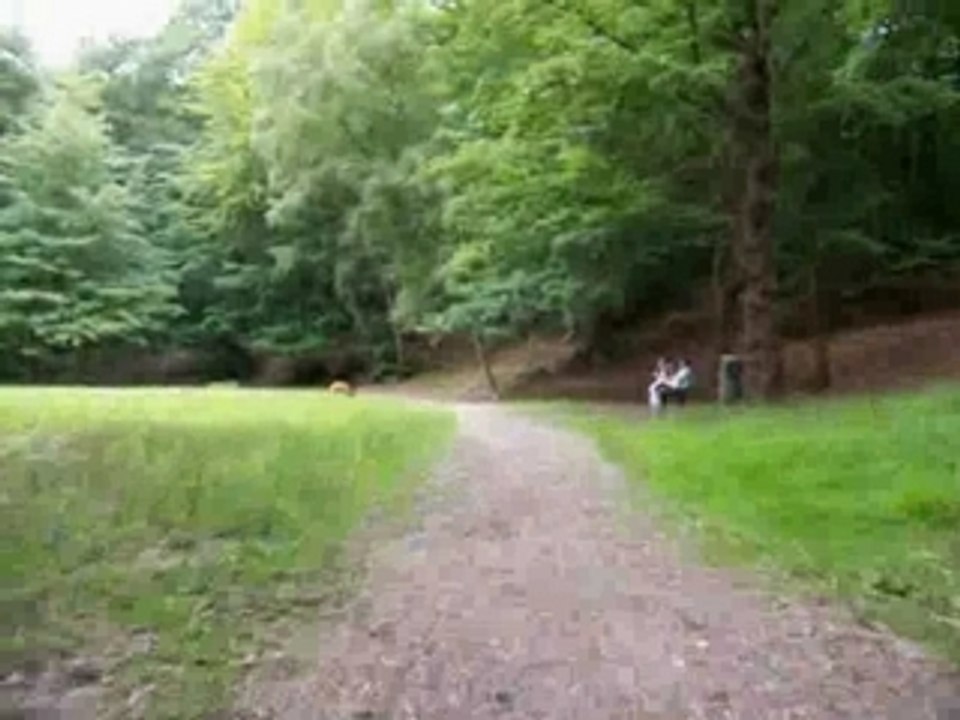 Camera-embarquée sur Quad