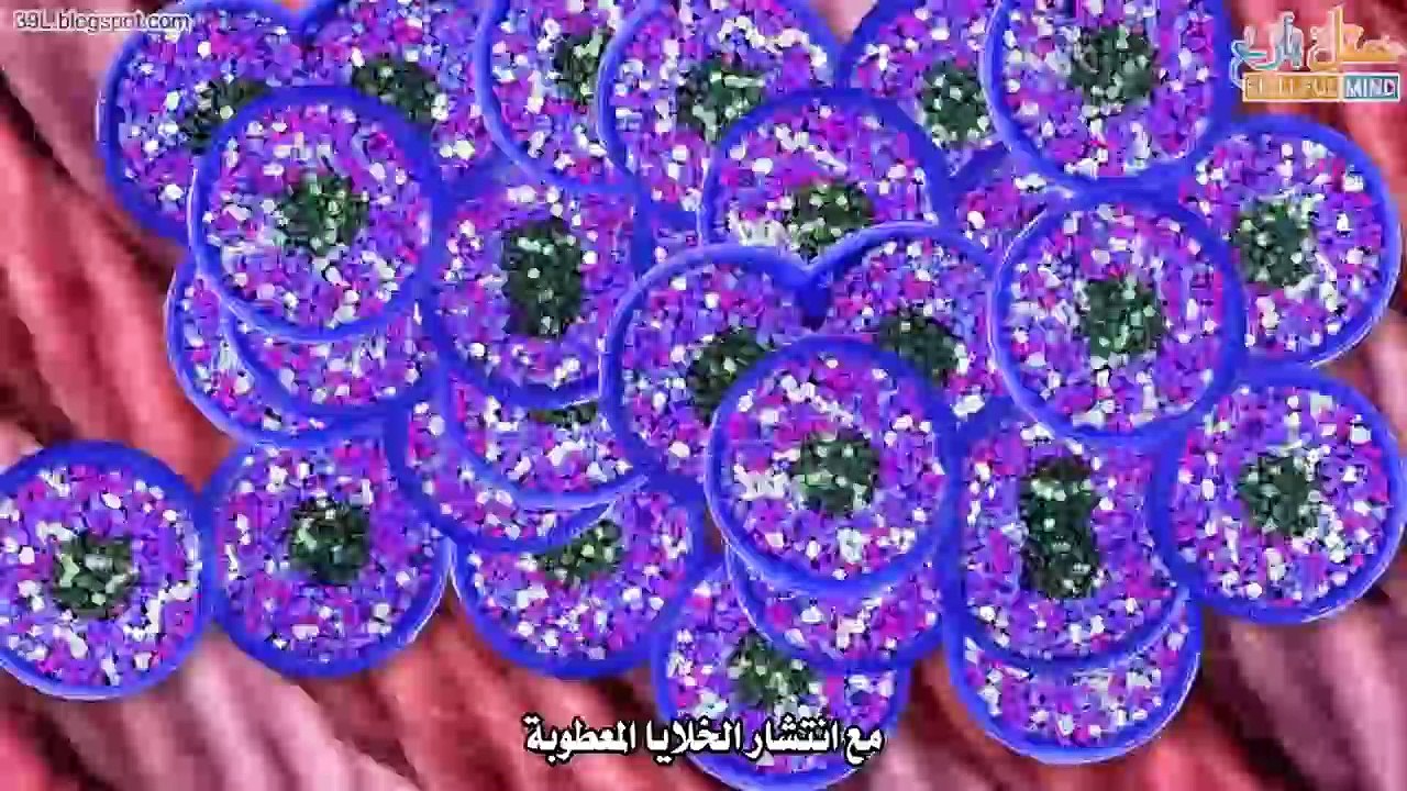ماهو الفرق بين الخلاية السرطانية والخلاية السليمة؟ #شَرح تفاعليّ