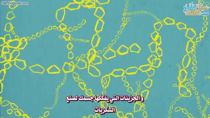 ماهي الكربوهيدرات؟ #صحة #شَرح تفاعليّ