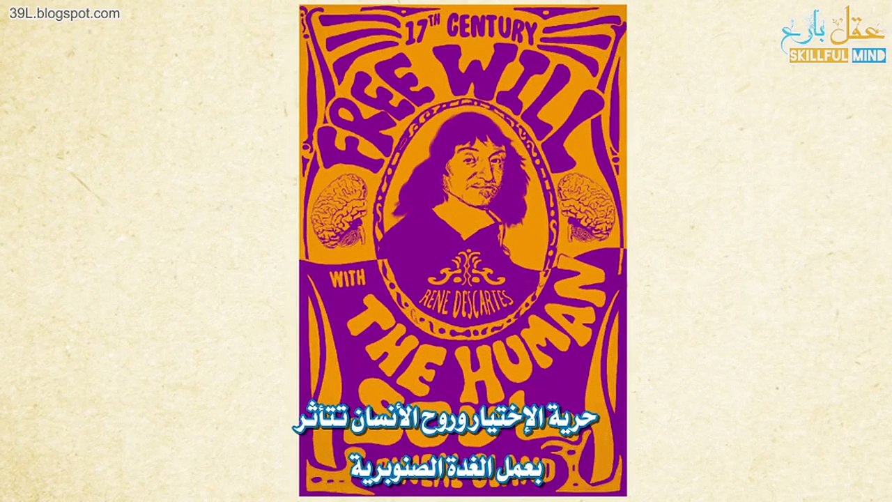 مناظرَة تفاعلية لفهِمَ كيفيّة عَمَل الدِماغ والذاكِرة