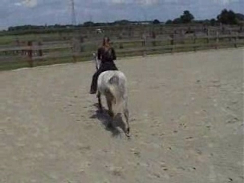 Montage tigo liberte