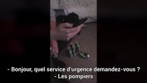 Des irlandais font une Blague téléphonique aux pompiers 