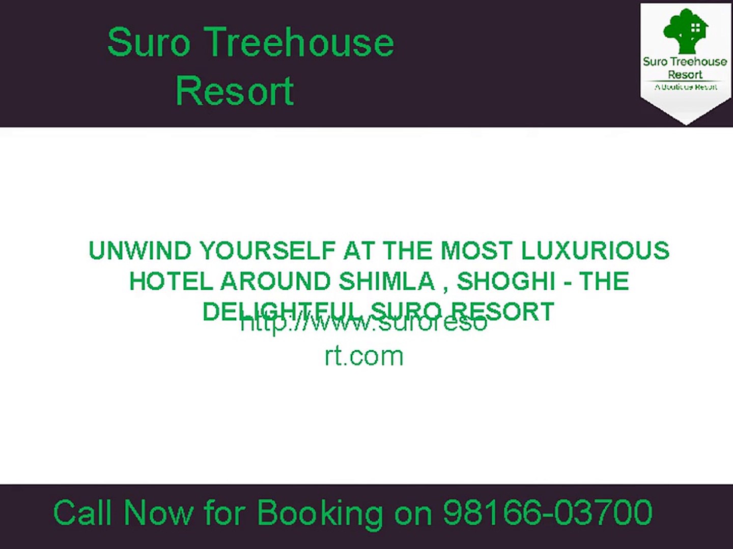 Resorts Around Shimla, Shoghi - Suro Resort