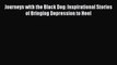 Read Books Journeys with the Black Dog: Inspirational Stories of Bringing Depression to Heel