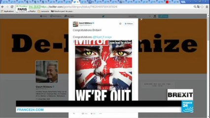 Brexit Referendum: euroskeptics gloat on social media, hope for domino effect