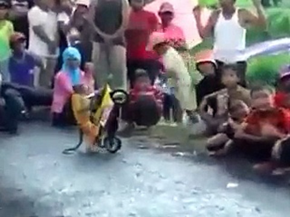 Funny monkey run the bick dhoom machale