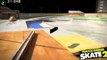 Skate 2 Duke Lepouchon Gaming Time Insane tricks: 27 212 962 points in 40 seconds!