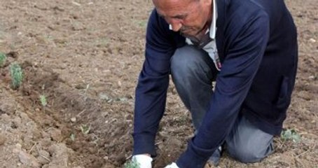 Alternatif Ürün" Diye Ekildi, Şimdi "Yok" Satıyor