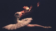 Svetlana Zakharova - The Dying Swan