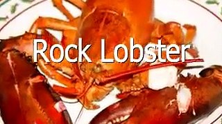 Attack Lobster