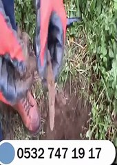 Define Dedektörü, 0532 747 19 17, DeepHunter, Makro Dedektör, Satış ve Kiralama Merkezi