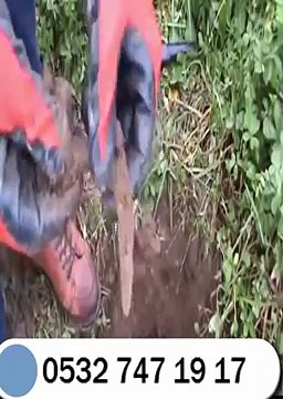 Define Dedektörü, 0532 747 19 17, DeepHunter, Makro Dedektör, Satış ve Kiralama Merkezi