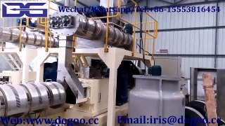 Cheese ball/corn puffed ball production line from Jinan DG machinery