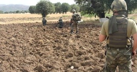 Lice'de Büyük operasyon! 10 Ton Amonyum Nitrat Ele Geçirildi