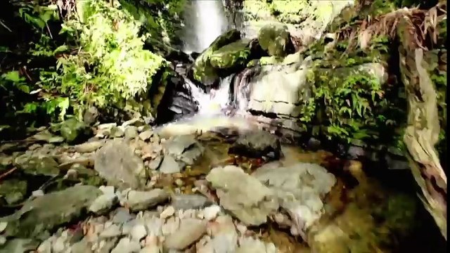 Greetings from Puerto Rico Raw, April 4, 2016