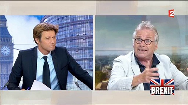 Brexit : Daniel Cohn Bendit furieux : C'est la victoire du mensonge ! - Regardez