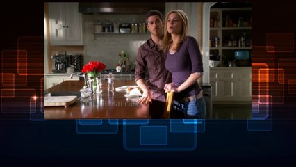 Watch Brothers And Sisters S04 E17