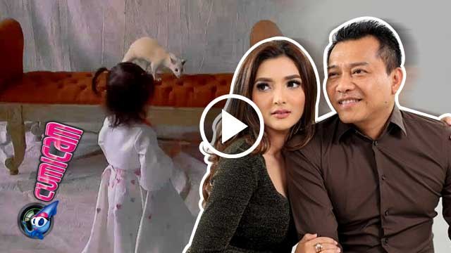 Anang Ashanty Cemas Arsy Dekati Musang - Cumicam 24 Juni 2016