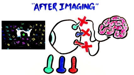 Will This Trick Your Brain? (Color TEST)