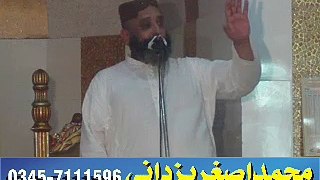 Allama Syed Sabteen Shah Naqvi Sahib -khutba jumma 24-6-2016 part02 faisalabad