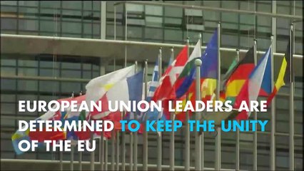 Donald Tusk: "27 EU leaders are determined to keep unity"