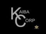 Yu-Gi-Oh! Abridged ITA: Per Tutto Il Resto C'è Kaiba Corp - Anteprima Episodio 17