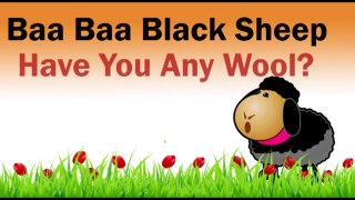 Baa Baa Black Sheep rhyme 1 for Nursery kids | Kindergarten songs for children