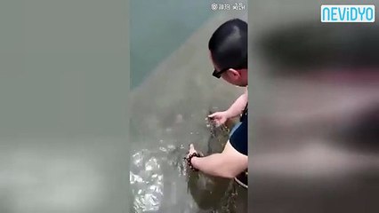 Sevgi arsızı balık sosyal medyayı salladı