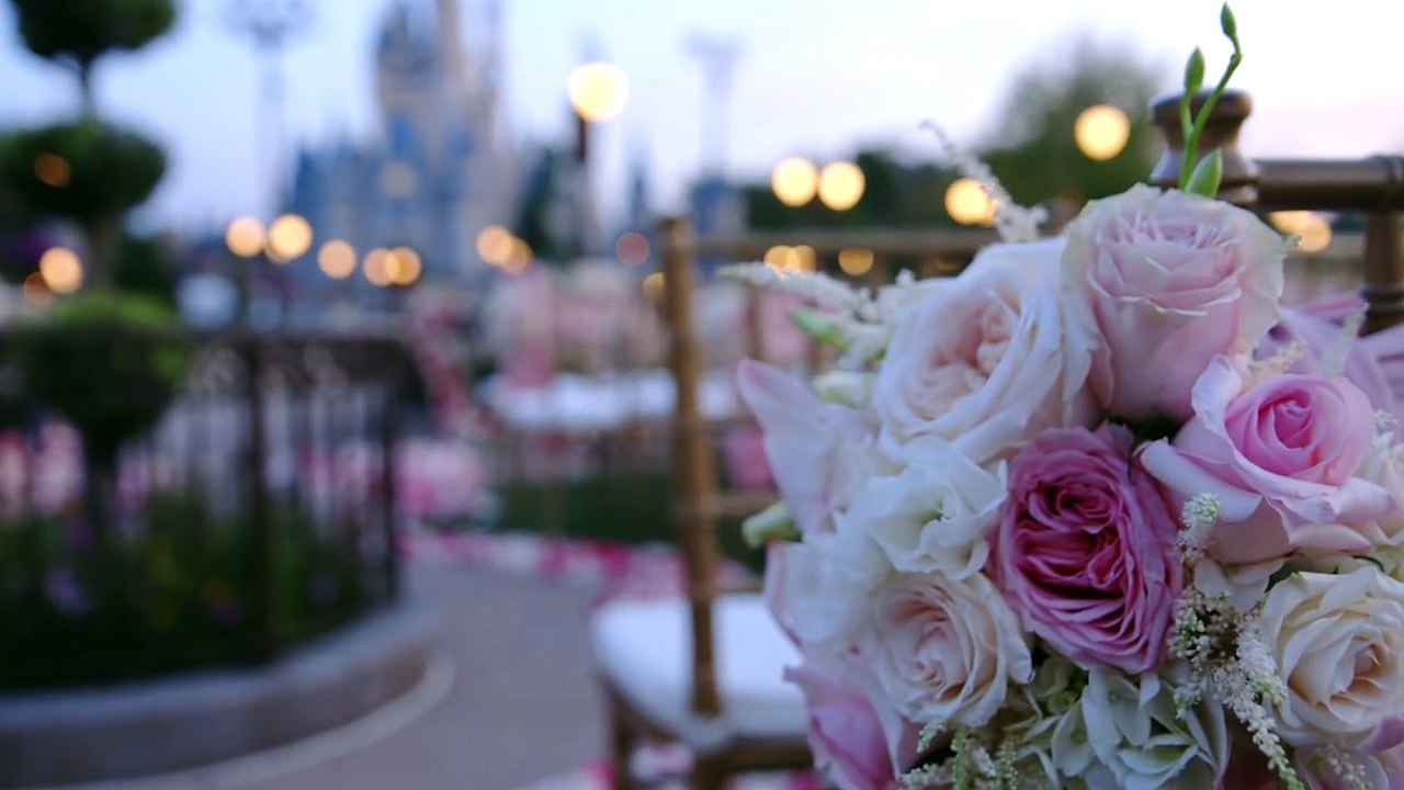 Faites de votre rêve d'enfant une réalité car il est désormais possible de se marier à Disneyland !