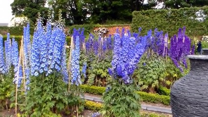 Le jardin empoisonné, le plus dangereux au monde