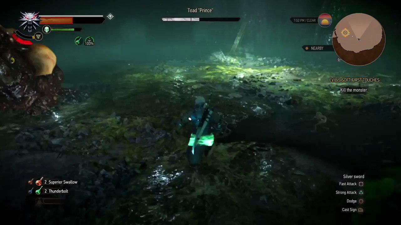 The Witcher 3: Wild Hunt_20160623191710
