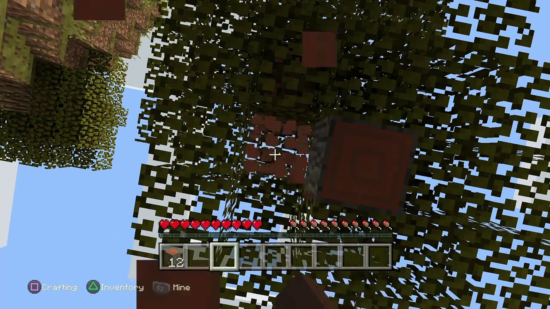 Minecraft: Survival Series #1