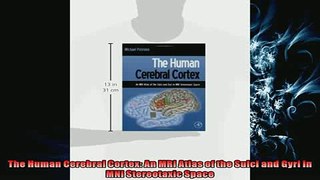 READ book  The Human Cerebral Cortex An MRI Atlas of the Sulci and Gyri in MNI Stereotaxic Space  FREE BOOOK ONLINE