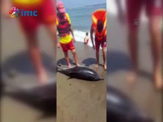 4 Haziran'dan beri süren balık ölümlerine karşı eylem