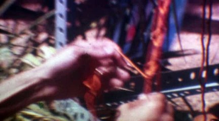 Mercat de Punta Arabí d'Eivissa als anys setanta