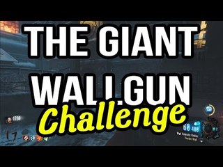 bo3 wall gun only challenge on the map gaint