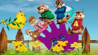 #Finger Family Song #chipmunks #Nursery Rhymes   Daddy Finger Kids Songs