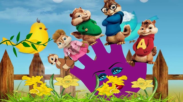 #Finger Family Song #chipmunks #Nursery Rhymes Daddy Finger Kids Songs