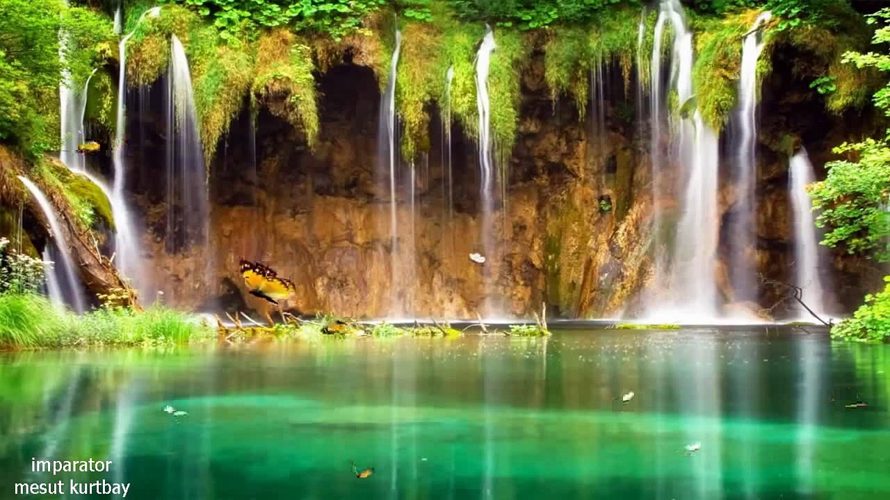 sezen aksu kurşuni renkler  kır çiçekleri