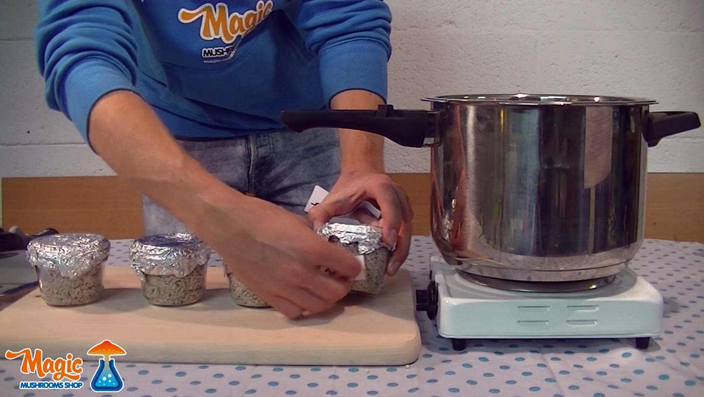 How to grow mushrooms with PF Tek