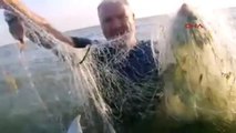 Mersin - Balıkçıların Yasa Dışı Kullandığı Hayalet Ağlar Denizden Toplanıyor